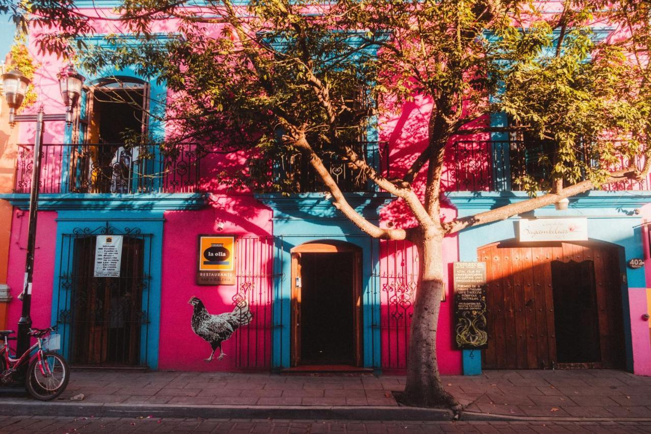 Oaxaca Casa De Las Bugambilias B&B المظهر الخارجي الصورة