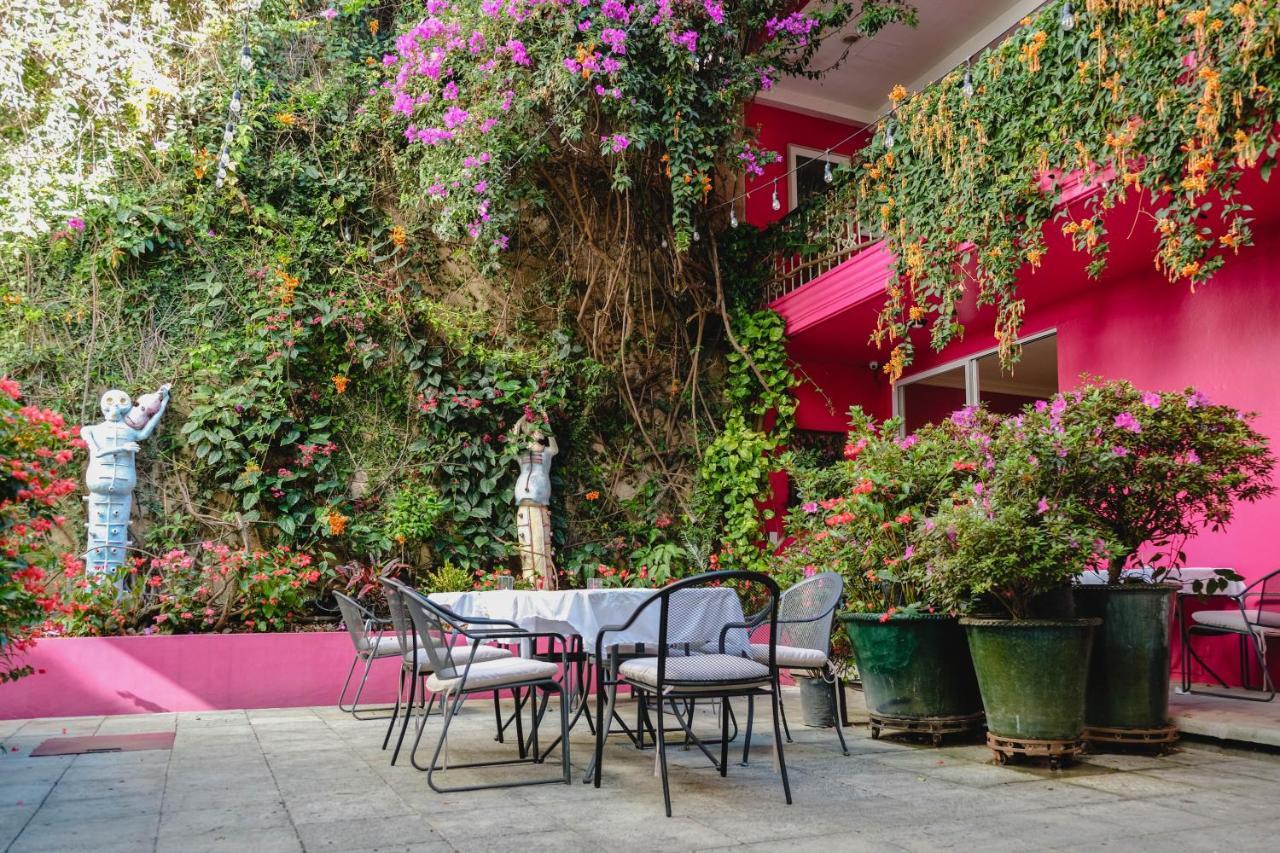 Oaxaca Casa De Las Bugambilias B&B المظهر الخارجي الصورة